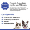 Vet Classics Protegrity EZ Probiotic Health Supplements for Dogs, Cats - Dog Digestive Support, Pet Gastrointestinal Health, Cat Stomach, Intestinal Balance - Pet Enzymes - 4 Oz. Powder