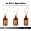 8 Rattan Scented Reed Diffuser Sticks Jasmine & Lily Scent Set, Holiday Reed Diffuser, All-Natural Essential Oil & Elegant Amber Glass Vase (5.75oz), Provides Constant Fragrance