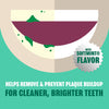 Plax Advanced PreBrushing Dental Rinse, Soft Mint, 24 Ounce