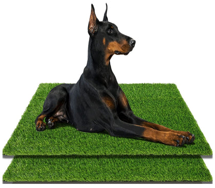 ZXCVB Artificial Grass for Dogs 40x26, 2-Pack, Outdoor Grass Pad for Dogs and Grass for Dogs Potty, Potty Training Rug and Replacement Artificial Grass Turf