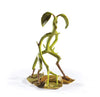 The Noble Collection Fantastic Beasts Magical Creatures: No.2 Bowtruckle
