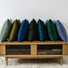 JUSPURBET Dark Green Velvet Throw Pillow Covers 22x22 Set of 2,Decorative Soft Solid Cushion Cases for Couch Sofa Bed