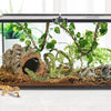 HERCOCCI Reptile Vines, Flexible Jungle Climbing Vines Terrarium Plastic Plants and Leaves Tank Accessories Decor for Gecko Snake Lizard Bearded Dragon Hermit Crab Frog