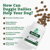 Doggie Dailies Glucosamine for Dogs - 225 Chews - Advanced Joint Supplement for Dogs with Chondroitin, MSM, Hyaluronic Acid & CoQ10 - Premium Dog Glucosamine (Peanut Butter)