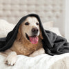 BEDELITE Fleece Blanket Black Throw Blankets for Couch & Bed, Plush Cozy Fuzzy Blanket 50