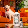 Pet-Pourri Pet Odor Air + Fabric Odor Eliminator Spray, Pawsitively Fresh, 16 Fl Oz