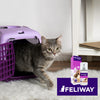 FELIWAY Classic Cat Calming Pheromone Spray (60 mL)