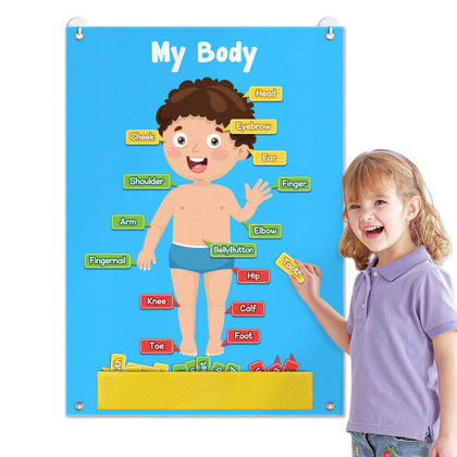 AKAYOK 35 Pcs Body Parts for Kids Felt Board Set Preschool Learning Interactive Educational Human Teaching Storytelling Early Learning Play Kit Interactive Wall Activity for Kids