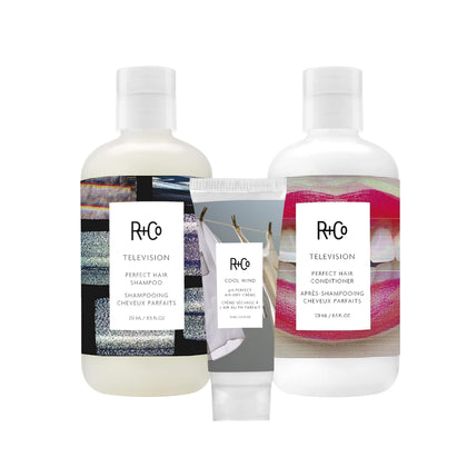 R+Co Television Perfect Hair Shampoo and Conditioner Set (8.5 Oz) + Cool Wind pH Travel Size (.5 Oz) | Body + Shine + Smoothing for All Hair Types | Vegan + Cruelty-Free |