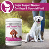 Vet Classics Joint Support Plus Dog Supplement - Hip Health Supplement for Dogs - Alleviates Aches and Discomfort - For Flexibility, Healthy Joint Function in Canines - Antioxidants - 120 Soft Chews