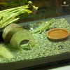 SunGrow Hermit Crab Huts, 5x3 Inches, Arthropod's Coconut Hide, Spacious Coco Tunnel, Use as Hermit Cave or Climber, 1-Pc