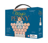Dowling Magnets Magic Penny Magnet Kit - A Gift for Curious Minds - Games for Adults and Kids Games - STEM Toys - Puzzle Games and Brain Teaser Puzzles - Building Toys - Ages 8+