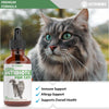 Natural Cat Antibiotic | Antibiotics for Cats | Cat Antibiotics | Antibiotic for Cats | Cat Antibiotics for UTI | Cat UTI | Cat UTI Treatment | Cat UTI Antibiotics | 1 fl oz | Chicken Flavor