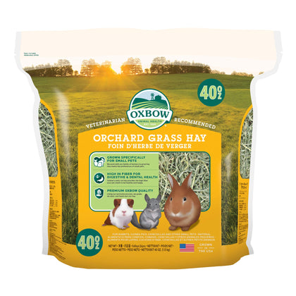 Oxbow Animal Health Orchard Grass Hay - All Natural Grass Hay for Chinchillas, Rabbits, Guinea Pigs, Hamsters, Gerbils & Other Small Pets - Grown in the USA- Fiber Rich- 40 oz.
