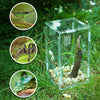 BETAZOOER Acrylic Mini Reptile Tank Habitat Transparent Terrariums with Locking Latch Suitable for Tarantula Isopod Roach Invertebrates (4''x4''x8'')