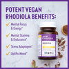 New Chapter Rhodiola Force 300mg with Potent Vegan Rhodiola for Mental Focus & Stamina, Endurance + Mood Support + Stress Adaptogen + Non-GMO Ingredients - 30 Count