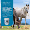 Ramard Total Prebiotic & Probiotic Equine Formula - Natural Digestive Supplement for Horses Optimal Gut Health, Nutrient Absorption, Foal Support Pro & Pre Biotics for Livestocks and Horse 8.5 oz Jar