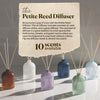 Paddywax Candles Petite Collection, Reed Diffuser for Home Use, Hunter Green - Balsam 1.5-Ounce