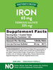 Ferrous Sulfate Iron Supplement | 65 mg | 120 Tablets | Non-GMO, Gluten Free | by Nature's Truth