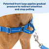 PetSafe Easy Walk Dog Harness - Stop Pulling & Teach Leash Manners - Prevent Pulling on Walks - Medium, Raspberry/Gray