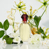 Paul Sebastian Design for Women, Fine Parfum Spray, 1.7-Ounce