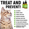 Natural Antibiotics for Cats | Dog Antibiotics | Supports Cats and Dogs Allergy Relief | Dog Itch Relief | Cat Multivitamin | Dog Multivitamin | Pet Antibiotics | Cat Antibiotic