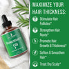 Rosemary Oil for Hair Growth For Men + Women - No Harsh Scent or Scalp Burn. Topical Treatment For Hair Loss Prevention, Hair Thickness, Regrowth. With Jojoba, Jamaican Black Castor, Peppermint 1oz