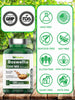tnvitamins Boswellia Serrata Herbal Extract Capsules | 1200 MG/Capsule (120 Capsules) | Joint Support Supplement* | Ayurvedic Herb: Indian Olibanum/Frankincense