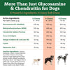 Doggie Dailies Glucosamine for Dogs - 225 Chews - Advanced Joint Supplement for Dogs with Chondroitin, MSM, Hyaluronic Acid & CoQ10 - Premium Dog Glucosamine (Peanut Butter)