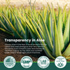 Organic Aloe Vera Gel, freshly cut - 4 oz, travel size - No coloring, Sunburn Relief, Cools skin after sun, Moisturizer