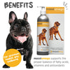 maxxipaws maxxiomega Oil for Dogs - Tasty Omega Supplement for Healthy Skin and Shiny Coat - Easy to Use Pump - Liquid 10 oz