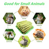 GREMBEB Rabbit Toys,50Pcs Timothy Hay Stick for Guinea Pig Toy Bunny Chew Toys for Teeth Grinding Hamster Alfalfa Bite Treat Rabbit Molar Food Snack for Pet Rat Chinchilla Squirrel Gerbil