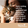 Vectra for Cats Over 9lbs 3 Doses Green by Ceva