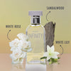 Novo Infinity for Women - 3.4 Fluid Ounce Eau De Parfum Spray Refreshing Mix of Citrus Floral & Musk Fragrances Smell Fresh All Day Long Lovely Gift Occasions