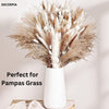 DECORPIA Premium Quality White Ceramic Vase | Modern Farmhouse bohemian Pampas Grass Flowers Bouquet for Home Décor, Desk Aesthetic Room Decor, White