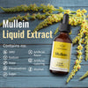 Mullein Leaf Tincture - Lung Cleanse - Vegan Lung Detox - Respiratory Health and Immune Support Drops - Natural Supplement Liquid Extract 2 fl.oz.