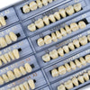 168 Pcs Dental Synthetic Resin Tooth Denture 3 Sets False Teeth 23 A3 Upper Lower Shade Dental for Halloween Horror Teeth