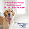 Nutramax Laboratories Proviable Digestive Health Supplement Multi-Strain Probiotics and Prebiotics for Dogs, With 7-Strains of Bacteria, 60 Chewable Tablets
