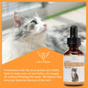 Natural Antibiotics for Cats - Cat Antibiotics - Cat Antibiotic - Pet Antibiotics - Cat Immune Support - Antibiotic for Cats - Cat Multivitamin - Cat UTI Antibiotics - 1 fl oz: Maple Flavor