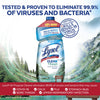 Lysol Multi-Surface Cleaner, Sanitizing and Disinfecting Pour, to Clean and Deodorize, Cool Adirondack Air, 40oz