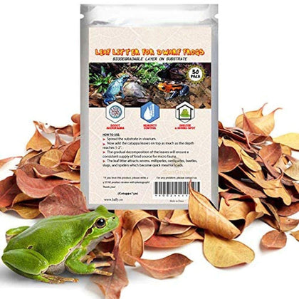 SunGrow Dwarf Frog Mini Catappa Leaves (50 Pc) - Tannin Helps Remove Ammonia, Lower pH - Leaf Litter Indian Almond Leaves, Aquarium Water Treatment, Decor Accessories
