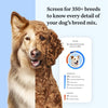 Wisdom Panel Essential Dog DNA Kit: Most Accurate Test for 365+ Breeds, 30 Genetic Health Conditions, 50+ Traits, Relatives, Ancestry - 1 Pack