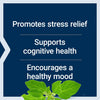 Life Extension Optimized Ashwagandha - Stress management supplement for a healthy stress response, focus, memory, stress relief - vegetarian, gluten-free, non-GMO, 60 capsules