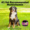Pet Honesty Dog Multivitamin - 10 in 1 Dog Vitamins for Health & Heart - Fish Oil for Dogs, Glucosamine, Probiotics, Omega Fish Oil - Dog Vitamins and Supplements for Skin and Coat (Chicken 90 ct)