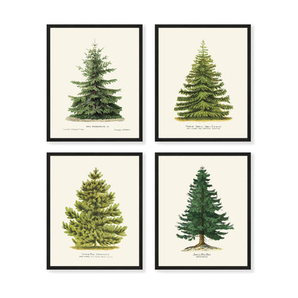 Goldie Days 4 Pine Tree Prints, 8