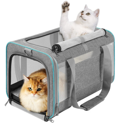 GAPZER Pet Carrier for Large Cats 20 lbs+ / Soft Sided Small Dog Travel Carrier Top Load/Collapsible Carrier Bag for Big Cat / 2 Kittens Sturdy Transport Carrier Long Trips/Medium Cats 15 pounds