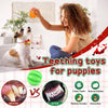 PUPTILY 9 Pack Dog Toys, Luxury Puppy Christmas Chew Toys for Teething, Cotton Squeaky Plush Toys for Small Dogs, Durable Interactive Treat Dog Ball and Bones, Rubber Rope Toys for Puppies Cleaning