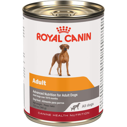 Royal Canin Canine Health Nutrition Adult In Gel Canned Dog Food, 13.5 oz can