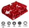 Elegant Comfort Luxury Velvet Super Soft Christmas Prints Fleece Blanket-Holiday Theme Home Décor Fuzzy Warm and Cozy Throws for Winter Bedding, Couch and Gift, 50 x 60 inch, Burgundy Reindeer