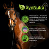 SynChill Oral Horse Calming Gel, 100% Natural & Nutritional Supplement, Lab Proven Results, Designed for Peak Focus & Performance, Approved by Veterinarians, FEI Compliant & Made in USA - 12-Pack